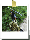 Shintao