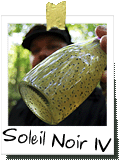 Soleil Noir IV